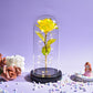 Preserved Roses In Glass Galaxy Rose