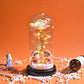 Preserved Roses In Glass Galaxy Rose