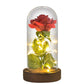 Preserved Roses In Glass Galaxy Rose