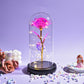 Preserved Roses In Glass Galaxy Rose