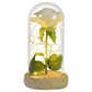 Preserved Roses In Glass Galaxy Rose